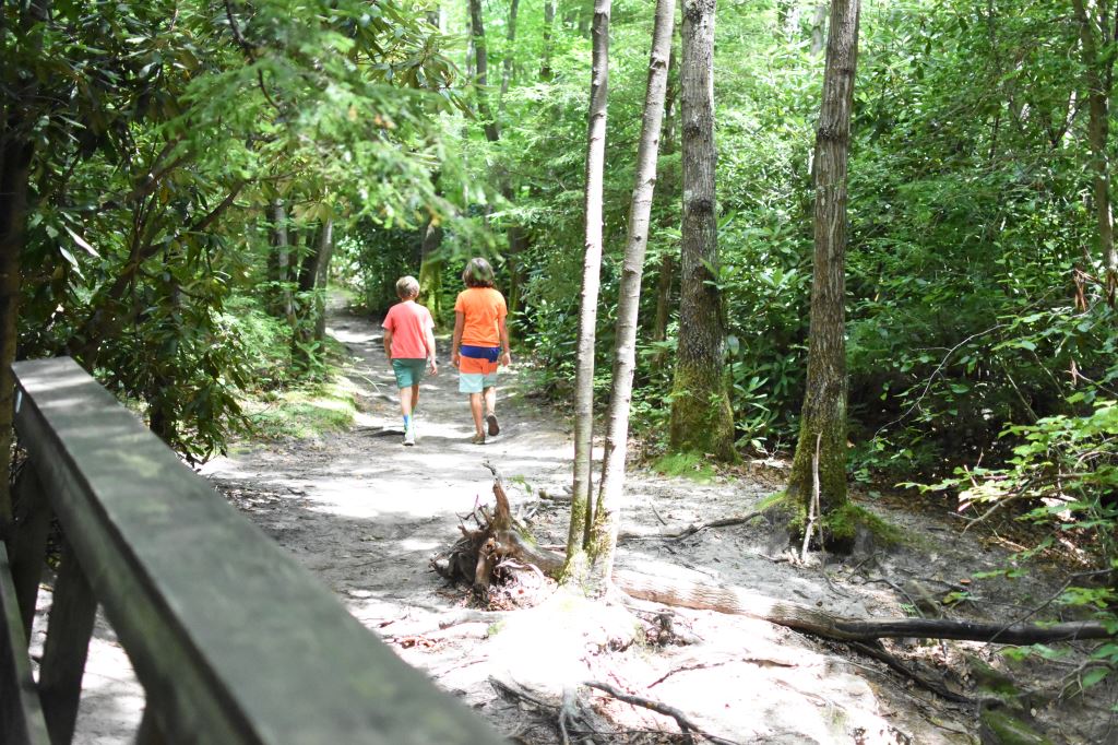 Walking in woods